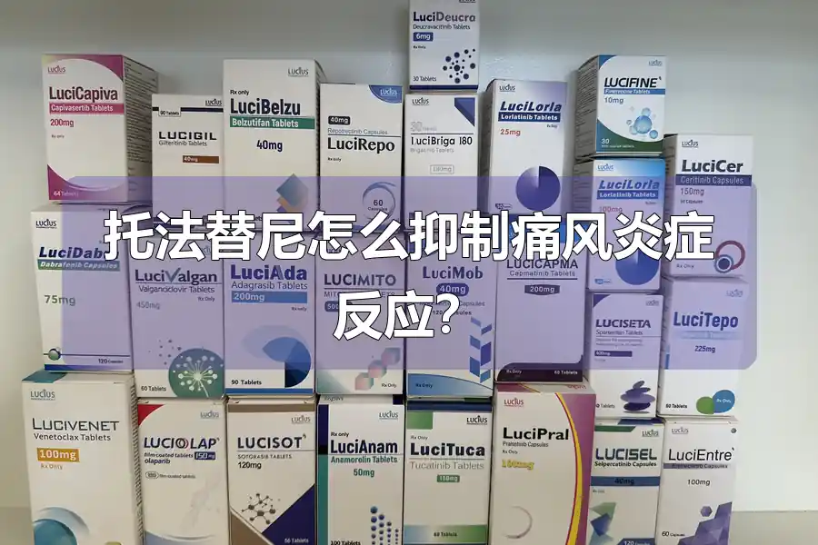 托法替尼怎么抑制痛风炎症反应？